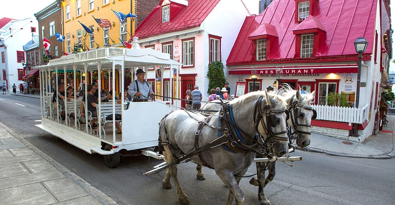 Tramway tiré par des chevaux de Calèches Québec, descendant la rue Saint-Louis, passant devant le restaurant Aux Anciens Canadiens, avec des familles lors d'une visite guidée.